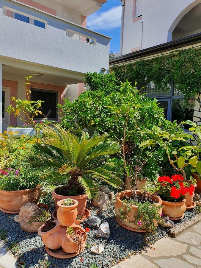Apartmani Kurjakovic - Пунат Экстерьер фото